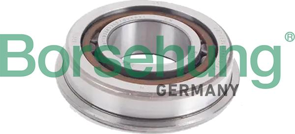 Borsehung B19057 - Bearing, manual transmission car-mod.net