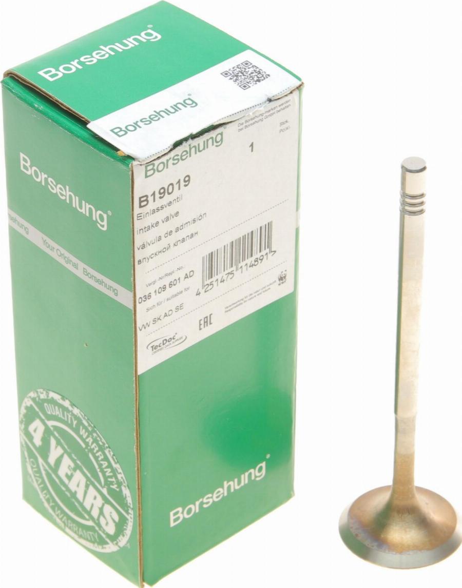 Borsehung B19019 - Inlet Valve car-mod.net