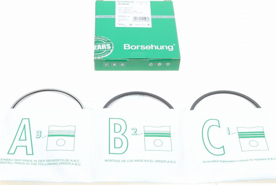 Borsehung B19038 - Piston Ring Kit car-mod.net