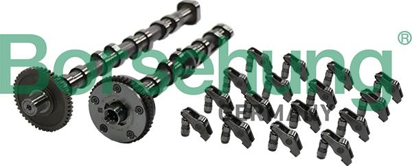 Borsehung B19173 - Camshaft Kit car-mod.net
