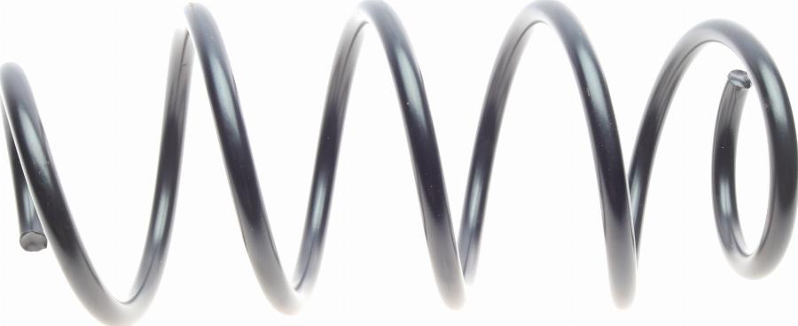 Borsehung B19305 - Coil Spring car-mod.net
