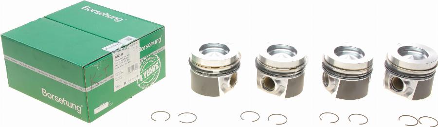 Borsehung B19301 - Piston Ring Kit car-mod.net