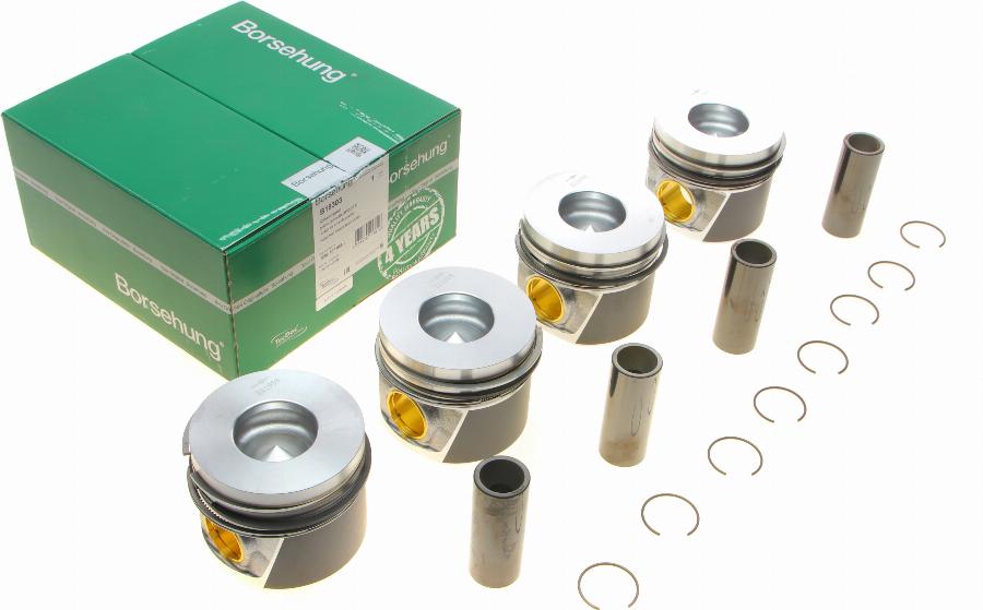 Borsehung B19303 - Piston Ring Kit car-mod.net