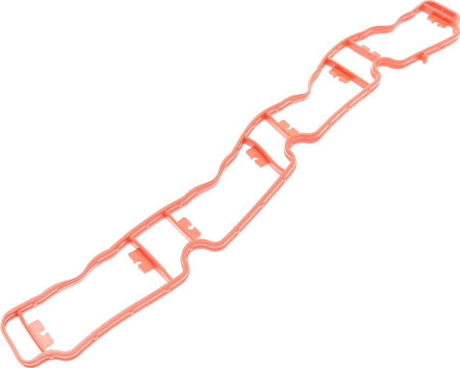 Borsehung B19250 - Gasket, intake manifold car-mod.net