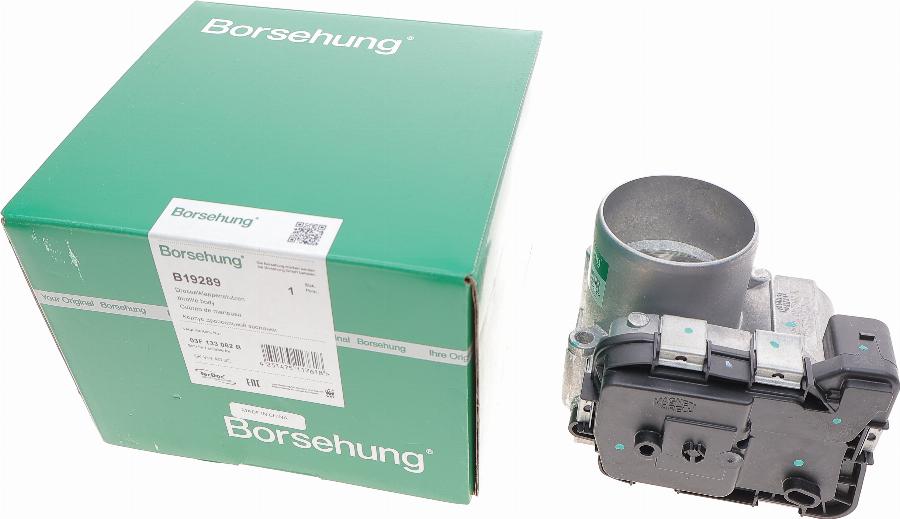 Borsehung B19289 - Throttle body car-mod.net