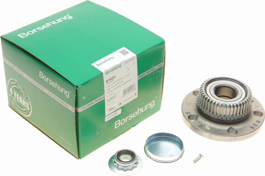 Borsehung B19231 - Bearing Kit, wheel hub car-mod.net