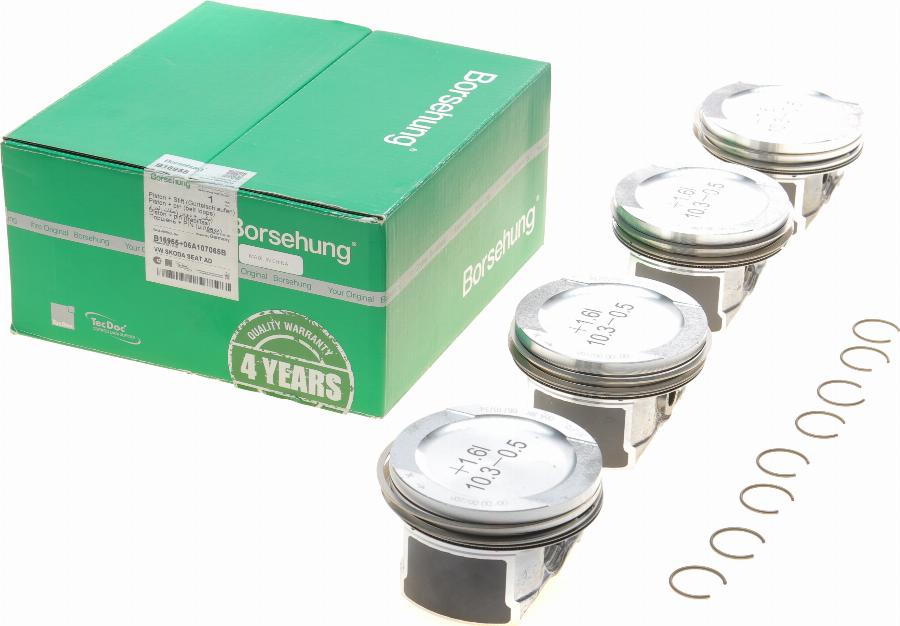 Borsehung B16955 - Piston Ring Kit car-mod.net