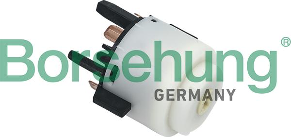 Borsehung B16156 - Ignition / Starter Switch car-mod.net