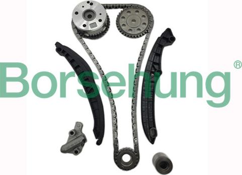 Borsehung B16306 - Timing Chain Kit car-mod.net