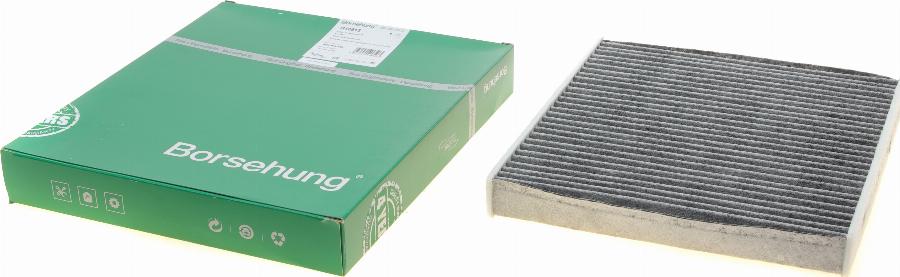 Borsehung B10513 - Filter, interior air car-mod.net