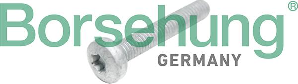 Borsehung B10645 - Cylinder Head Bolt car-mod.net