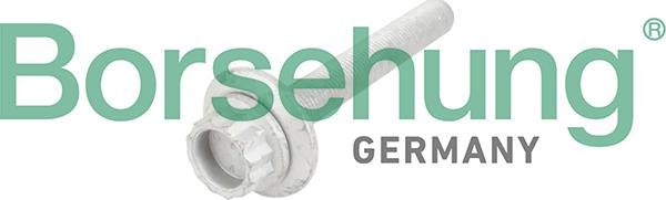 Borsehung B10654 - Centering Bolt, crankshaft pulley car-mod.net