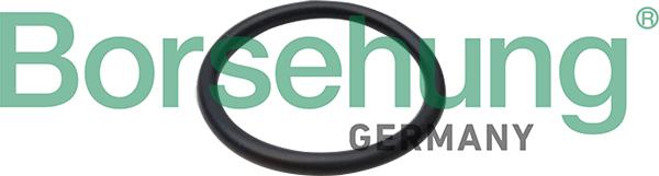 Borsehung B10655 - Washer, crankshaft pulley car-mod.net