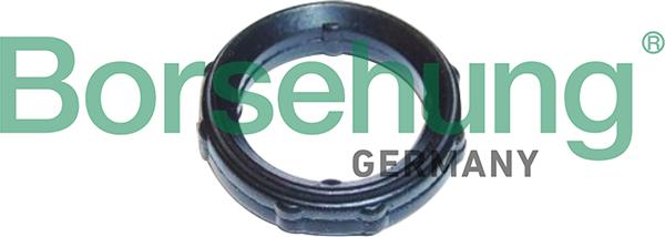 Borsehung B10651 - Timing Case Gasket, engine timing car-mod.net