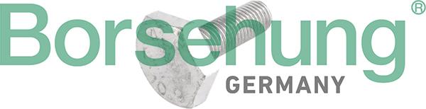 Borsehung B10653 - Screw, camshaft gear car-mod.net