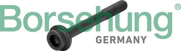 Borsehung B10652 - Screw, camshaft gear car-mod.net