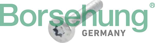 Borsehung B10634 - Screw, camshaft gear car-mod.net