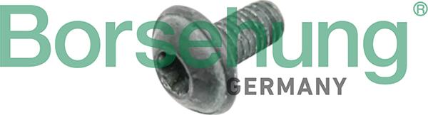 Borsehung B10635 - Bolt of Brake Disc car-mod.net