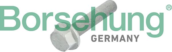Borsehung B10633 - Centering Bolt, crankshaft pulley car-mod.net