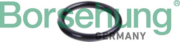 Borsehung B10632 - Seal Ring, coolant tube car-mod.net