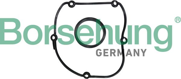Borsehung B10627 - Timing Case Gasket, engine timing car-mod.net