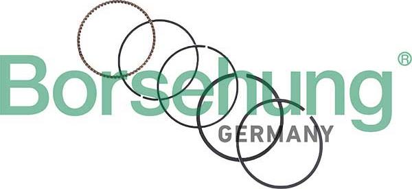 Borsehung B10374 - Piston Ring Kit car-mod.net