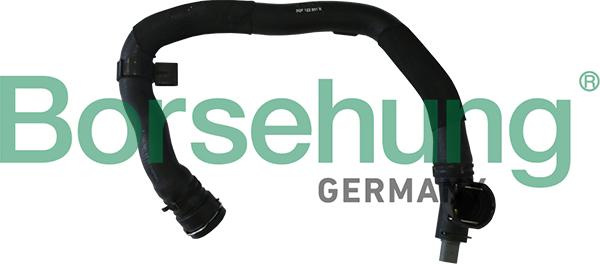 Borsehung B11958 - Radiator Hose car-mod.net