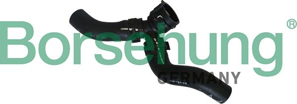Borsehung B11984 - Radiator Hose car-mod.net