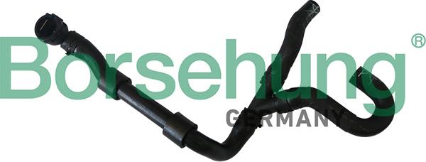 Borsehung B11987 - Radiator Hose car-mod.net