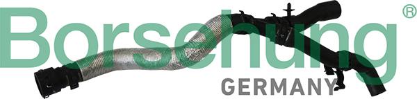 Borsehung B11979 - Radiator Hose car-mod.net