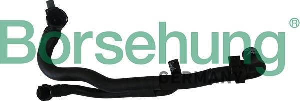 Borsehung B11978 - Radiator Hose car-mod.net
