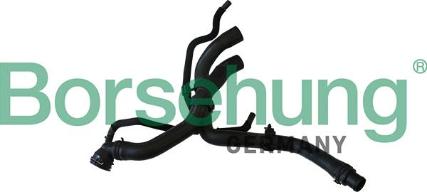 Borsehung B11977 - Radiator Hose car-mod.net