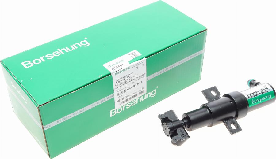 Borsehung B11481 - Washer Fluid Jet, headlight cleaning car-mod.net