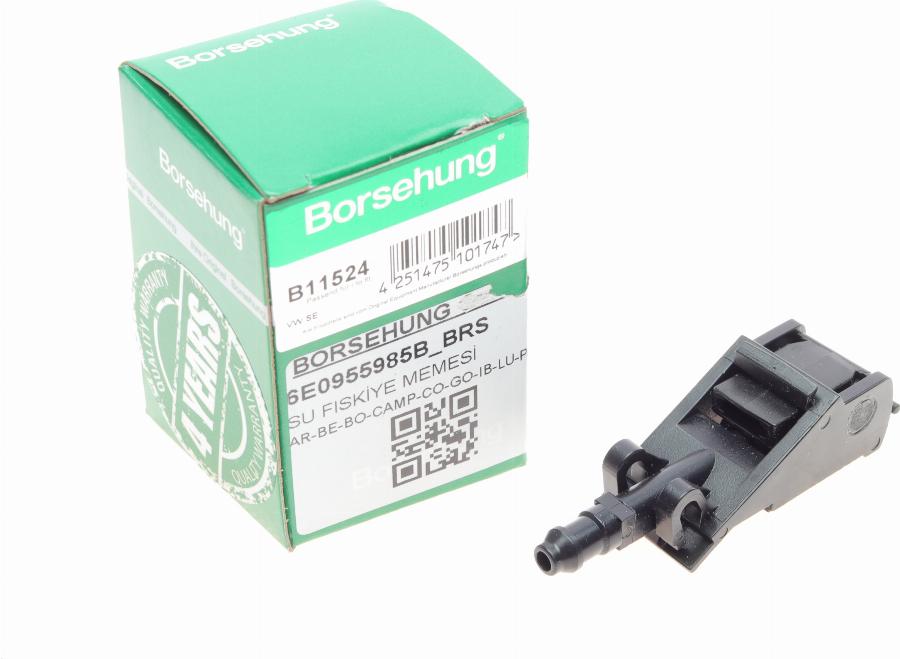 Borsehung B11524 - Washer Fluid Jet, windscreen car-mod.net