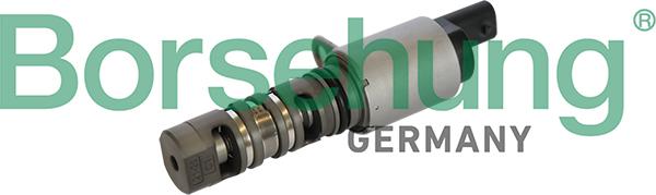 Borsehung B11866 - Central Valve, camshaft adjustment car-mod.net