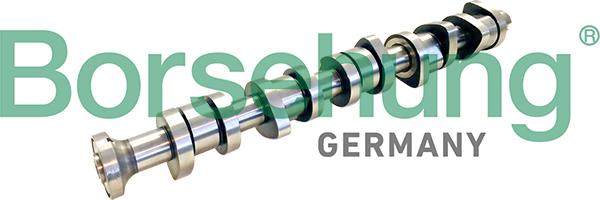 Borsehung B11309 - Camshaft car-mod.net