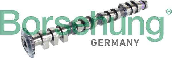 Borsehung B11316 - Camshaft car-mod.net