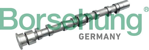 Borsehung B11312 - Camshaft car-mod.net