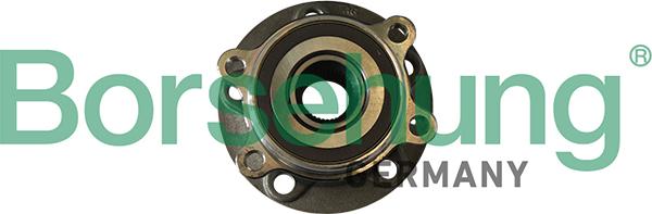 Borsehung B11290 - Bearing Kit, wheel hub car-mod.net