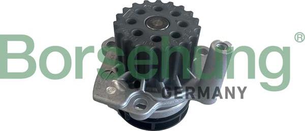 Borsehung B11212 - Water Pump car-mod.net
