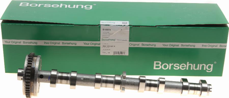 Borsehung B18979 - Camshaft car-mod.net