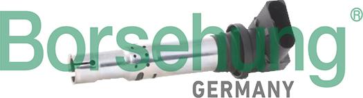 Borsehung B18973 - Ignition Coil car-mod.net