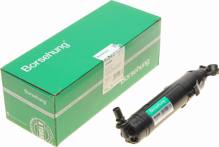 Borsehung B18486 - Washer Fluid Jet, headlight cleaning car-mod.net