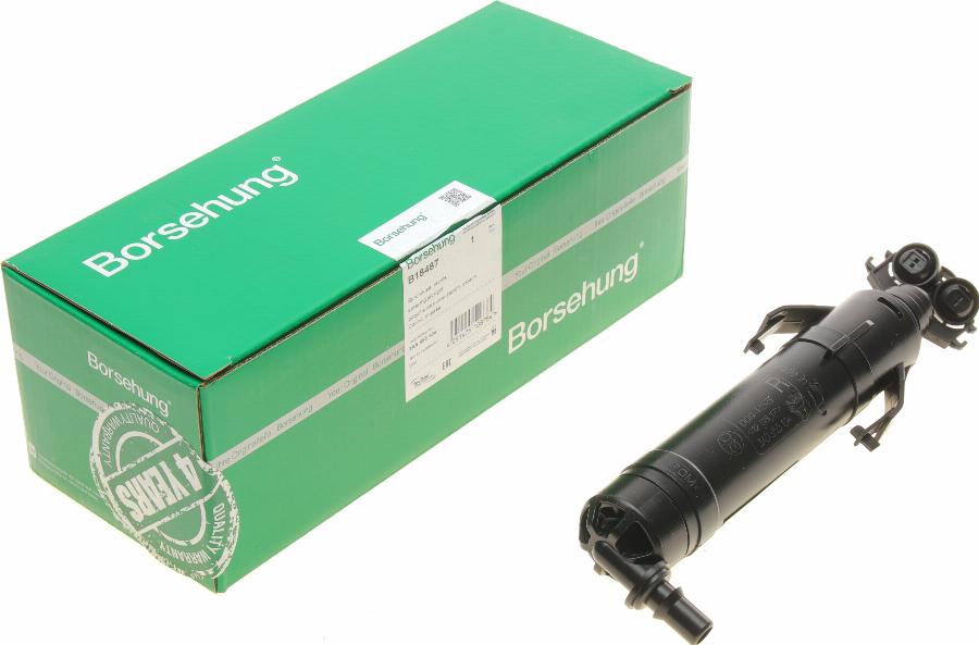 Borsehung B18487 - Washer Fluid Jet, headlight cleaning car-mod.net