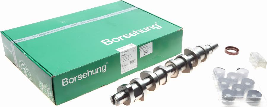 Borsehung B18664 - Camshaft Kit car-mod.net
