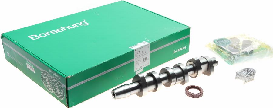 Borsehung B18665 - Camshaft Kit car-mod.net