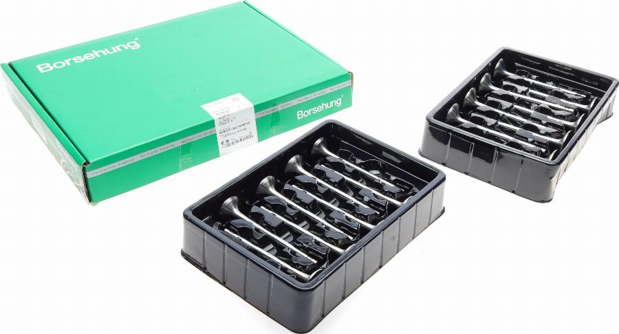 Borsehung B18637 - Inlet Valve car-mod.net