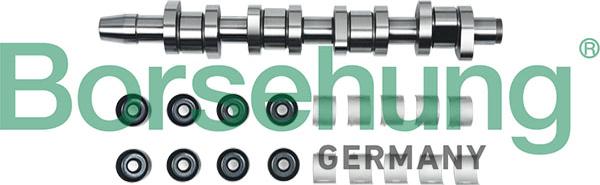 Borsehung B18808 - Camshaft Kit car-mod.net