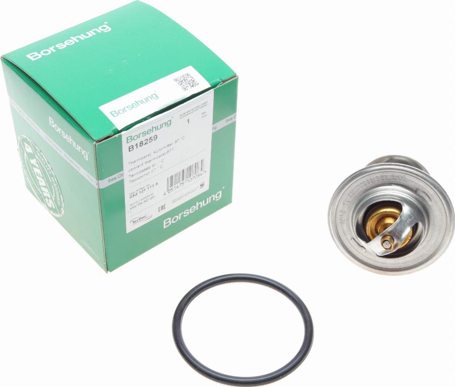 Borsehung B18259 - Coolant thermostat / housing car-mod.net