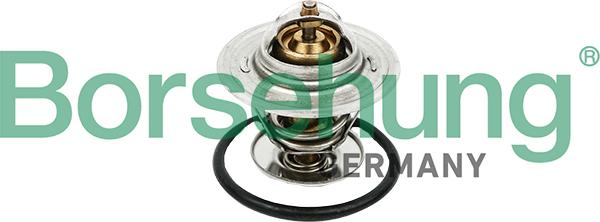 Borsehung B18256 - Coolant thermostat / housing car-mod.net